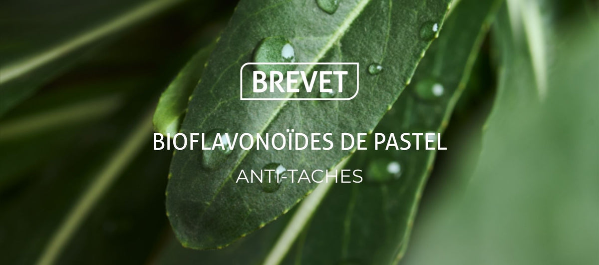 Révélez la Lumière de votre Peau : Le Secret de notre Brevet Anti-Taches aux Bioflavonoïdes de Pastel